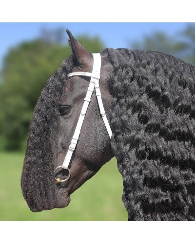 HB Voorbreng hoofdstel de luxe