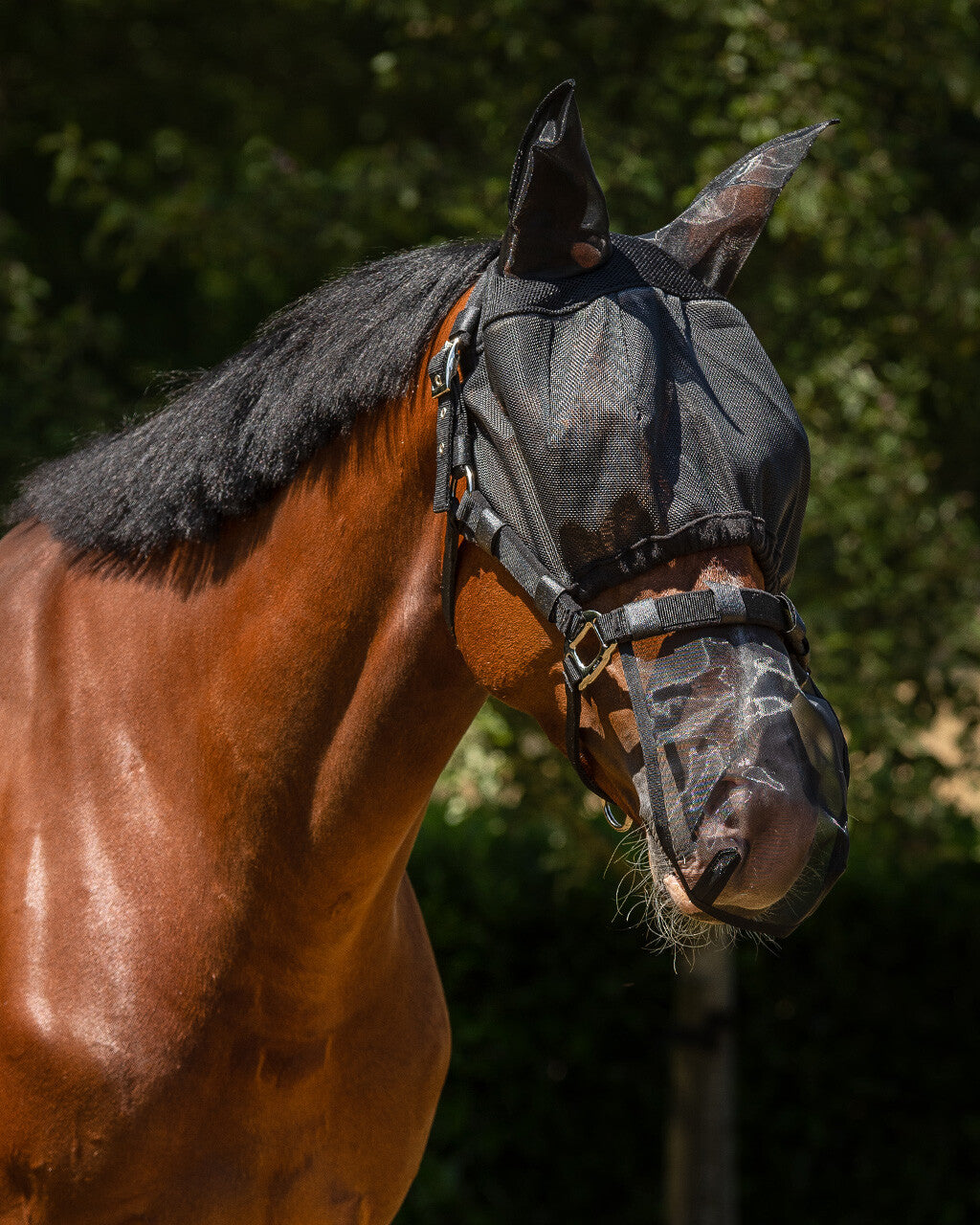 Halster-vliegenkap combi met oren