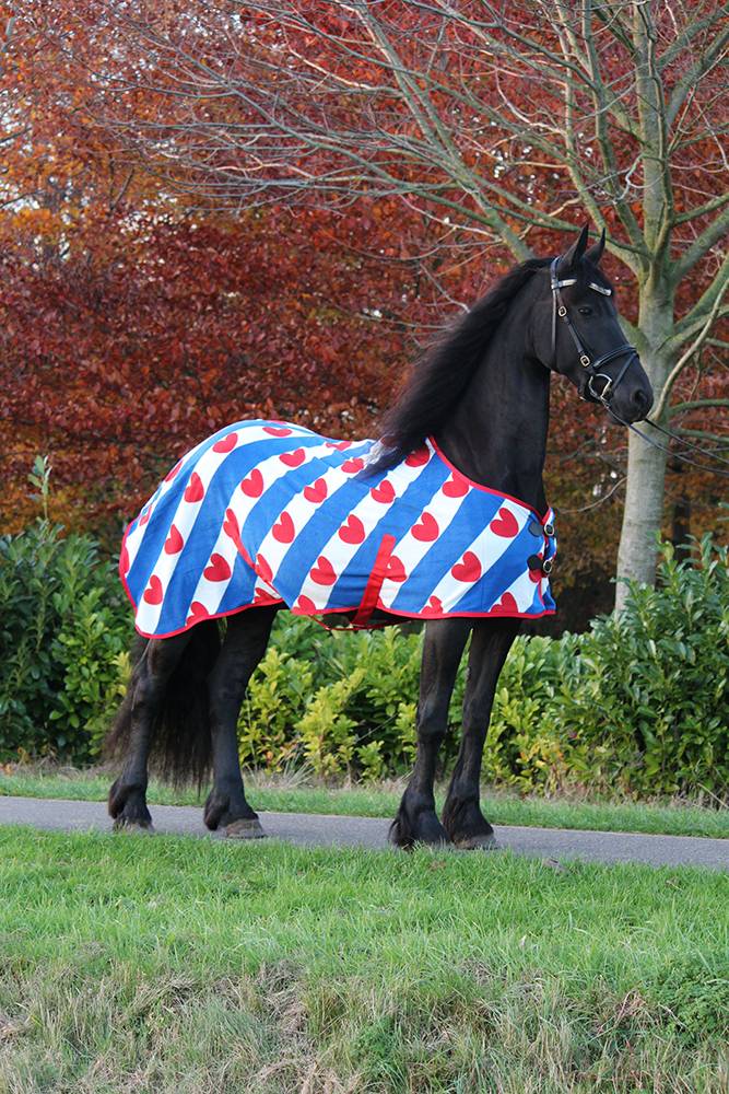 Fleecedecke Friesisch