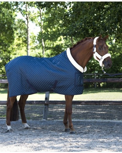 Showtime Turnierdecke Steelblue Desir