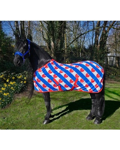 Fijn mazige Vliegen deken Fryske