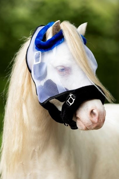 Fliegenmaske kleine Größen