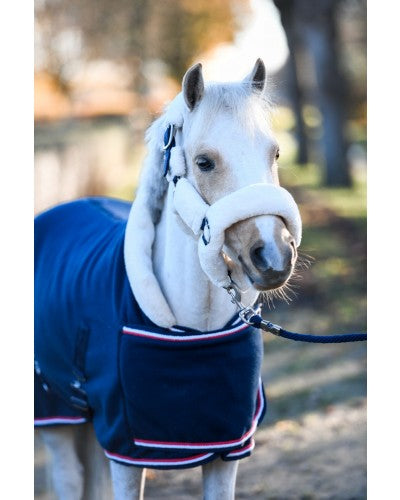 Showtime Harry and Hector Dutch Crown little sizes