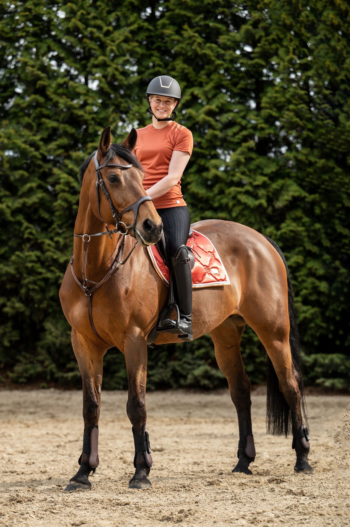 Satteldecke - Edinburgh