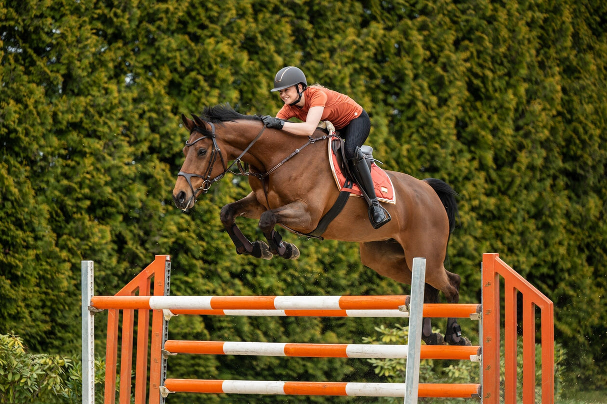 Satteldecke - Edinburgh