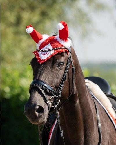 1397 HB Earnet Weihnachten