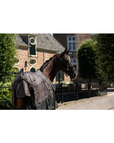 Outdoor Luipaard big sizes -luipaard