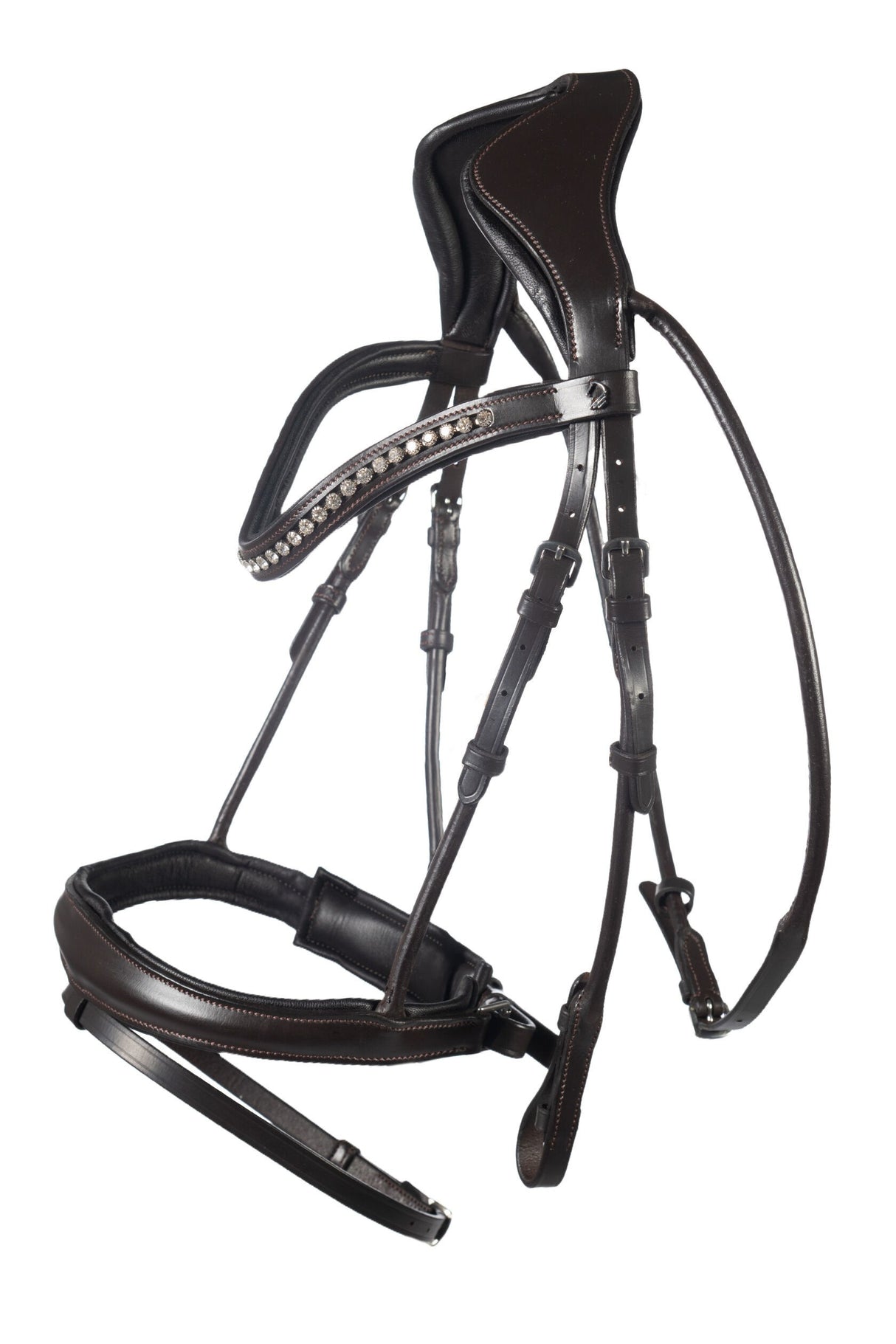 Bridle -Arezzo-