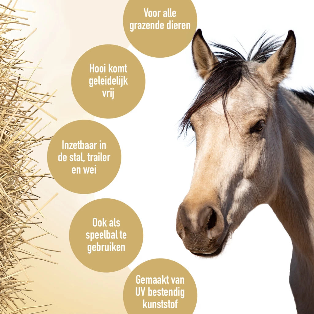 Heu-Slow-Feeder Fun & Flex