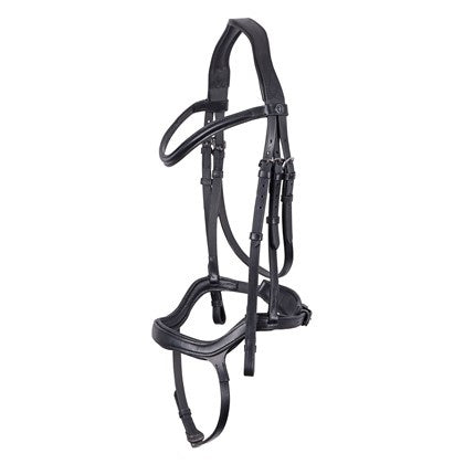 Anatomische Zaumfreigabe