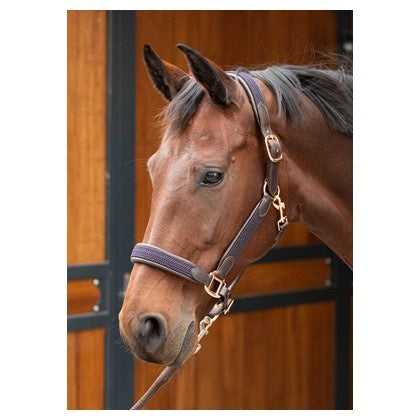 Halster leder Braided