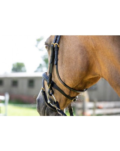 Hoofdstel Basic Zwart met zwart onderlegd