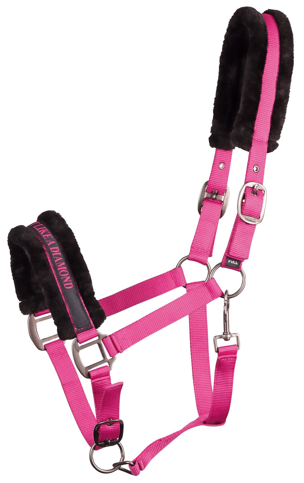 Headcollar Lyrics Quotes