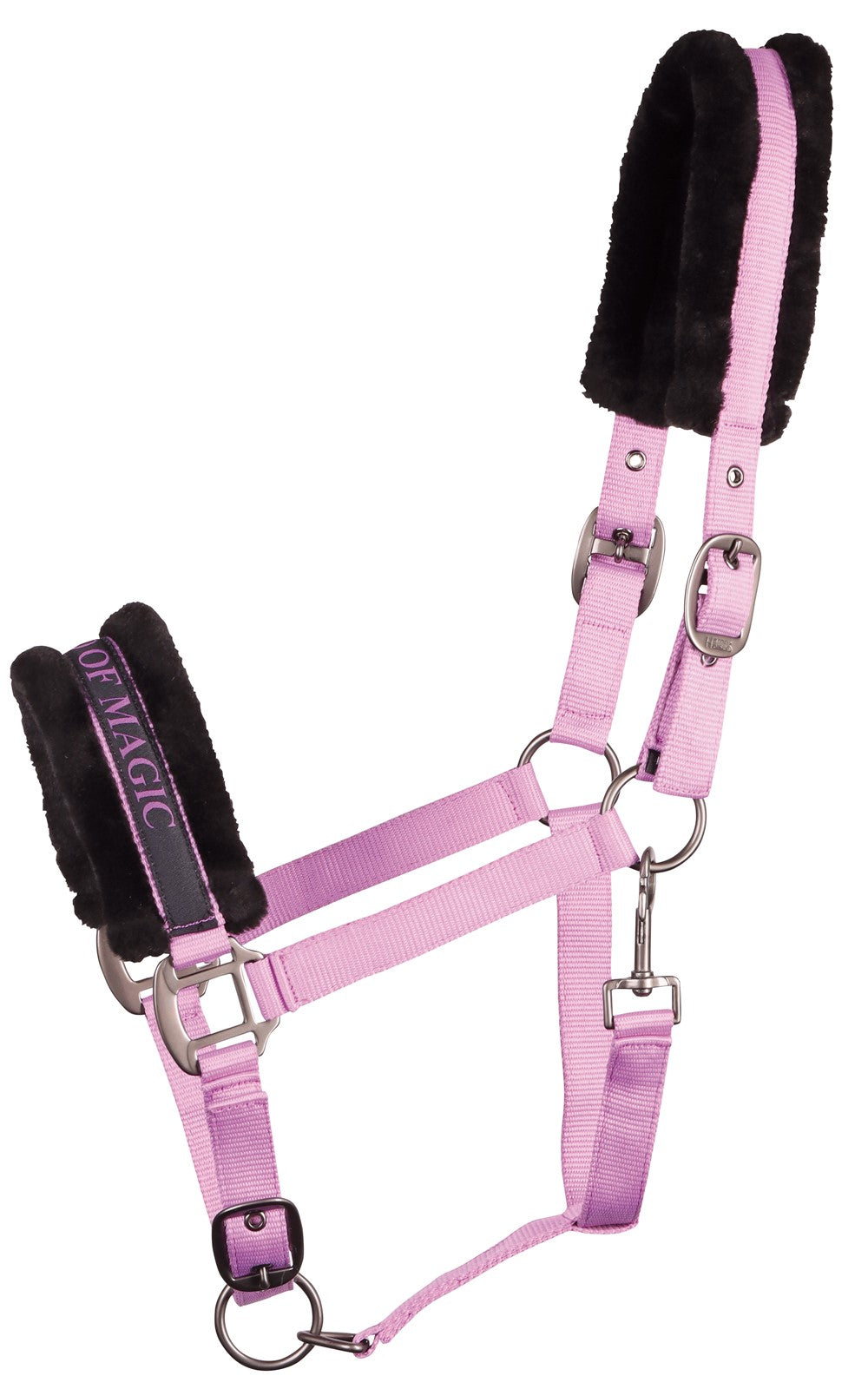 Headcollar Lyrics Quotes