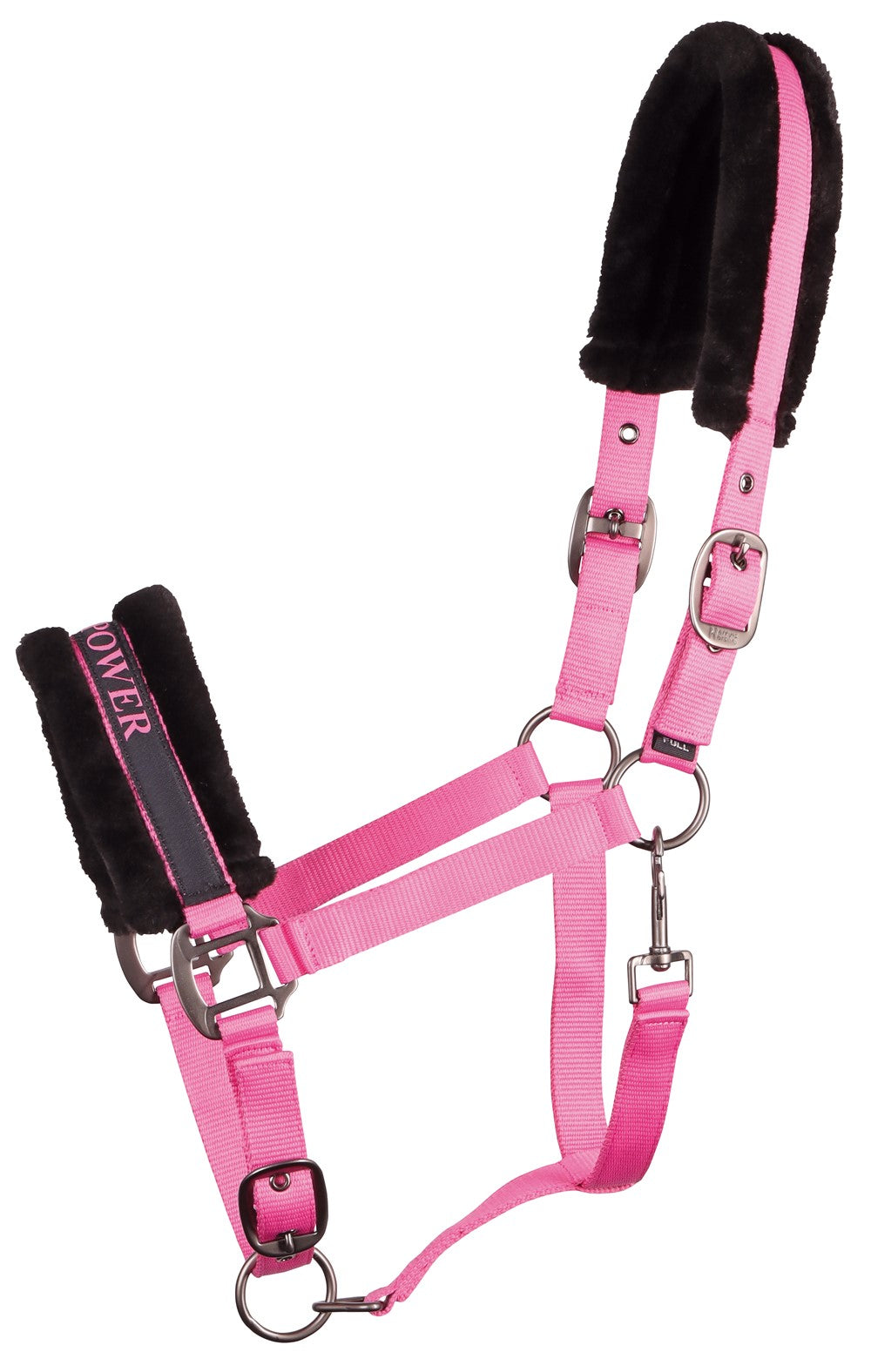 Headcollar Lyrics Quotes