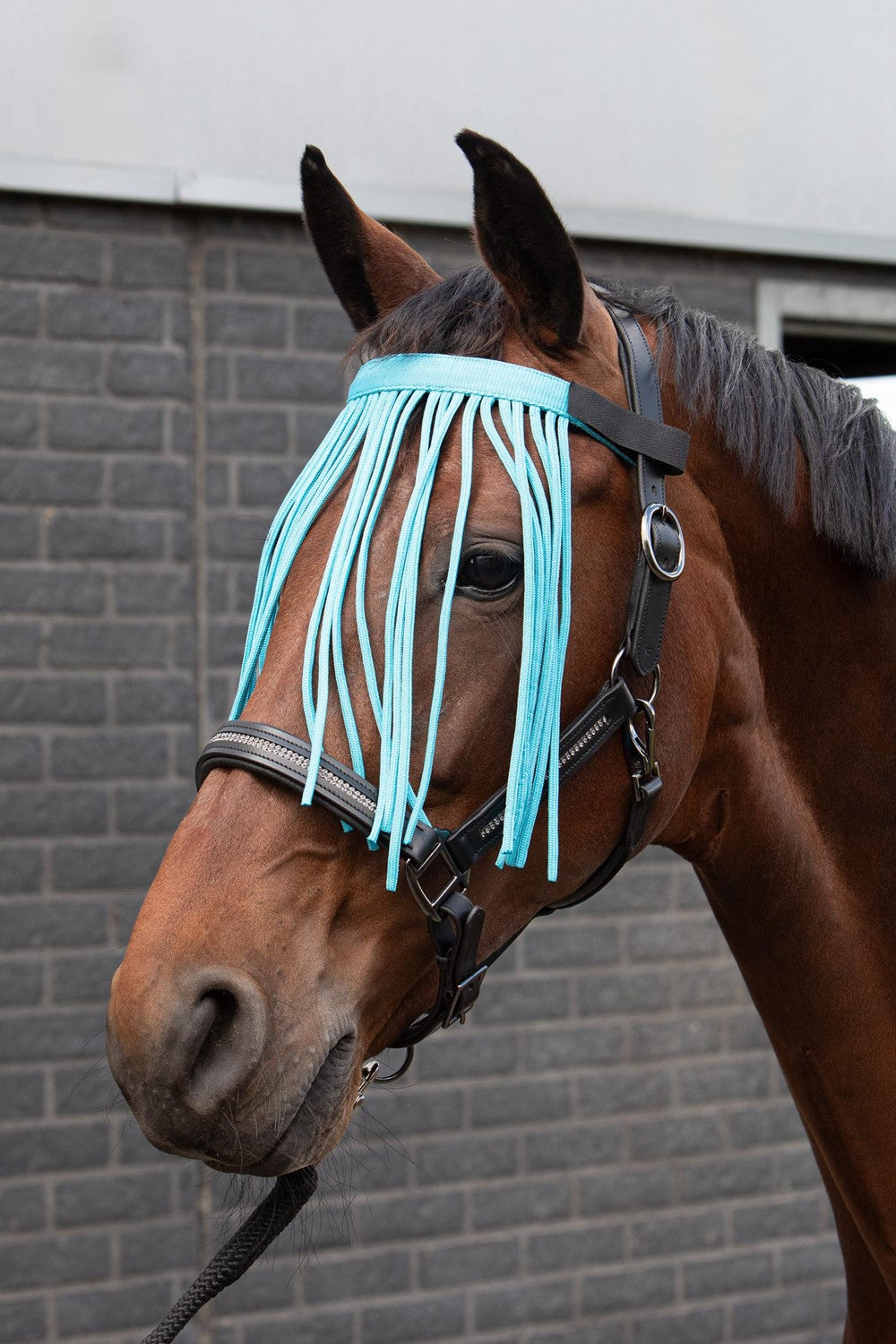 Fliegenstirnband Farbe