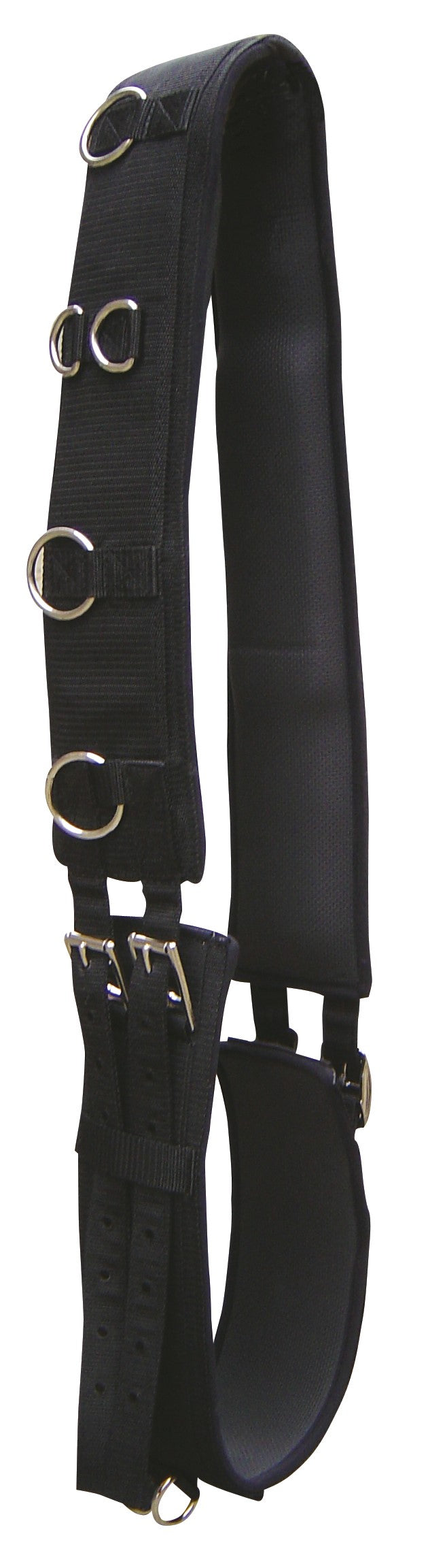 Longiergurt Haifischhaut