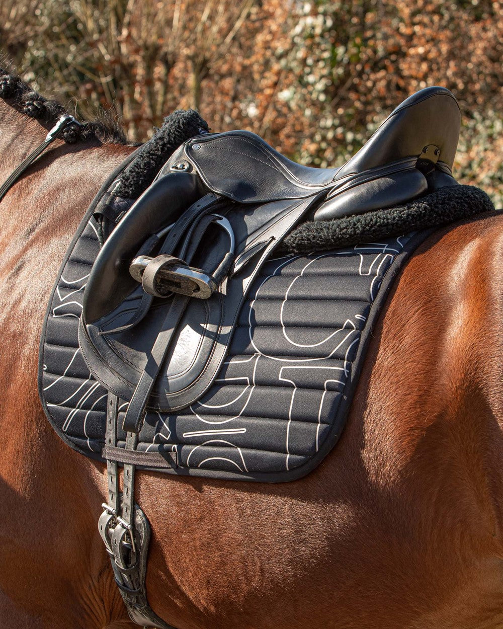 Zadeldek Denici Cavalli Stardust Design