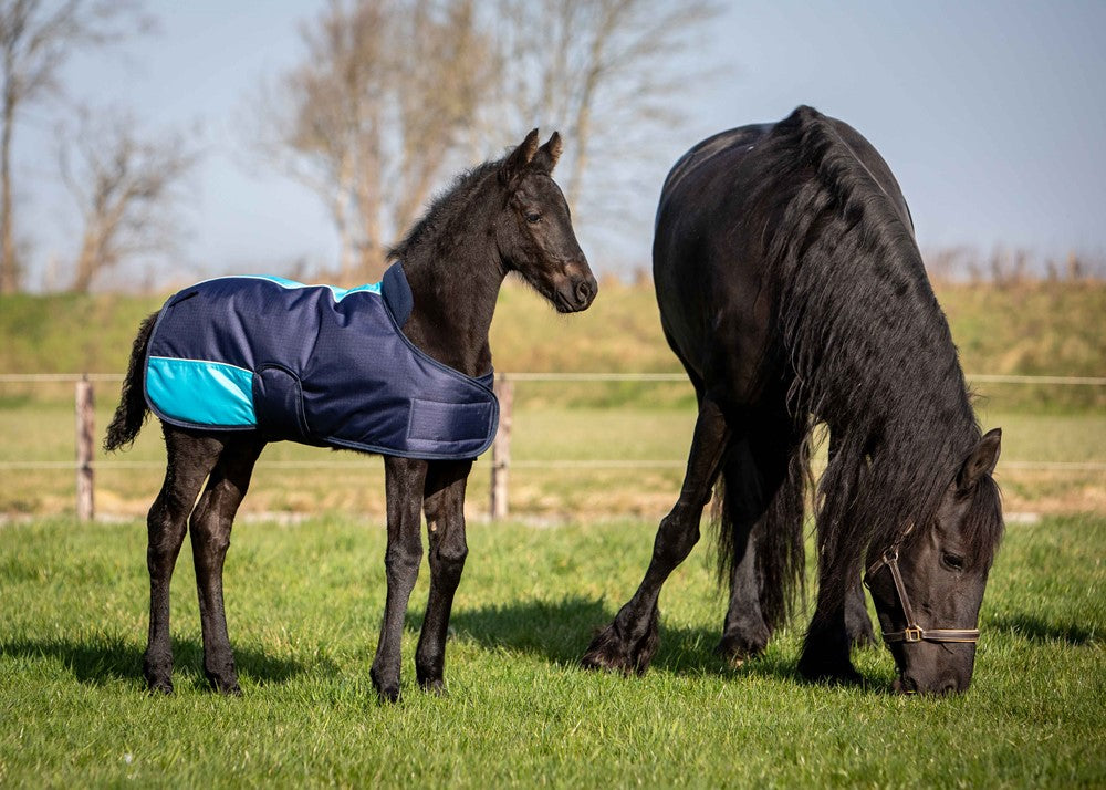 Veulendeken TwoTone 200gr