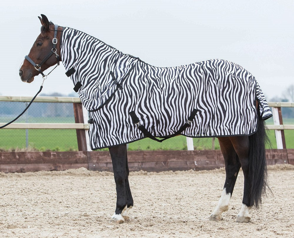 Zebra-Fliegendecke mit losem Hals