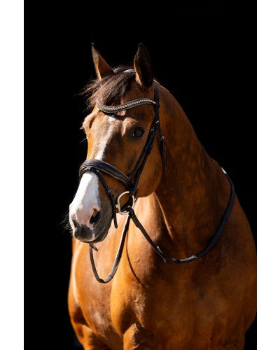 HB Showtime Jump Rocky Glitter