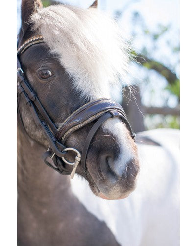 HB Showtime Welsh Bridle Rocky glitter