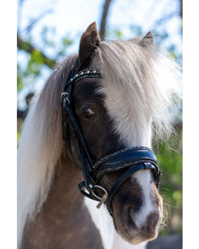 HB Showtime Welsh Bridle Rocky glitter