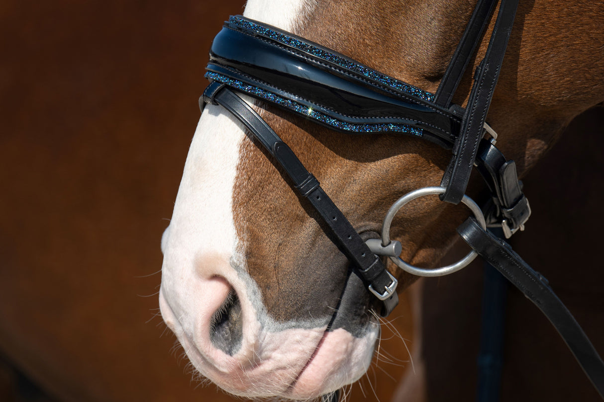 Showtime It is So Special