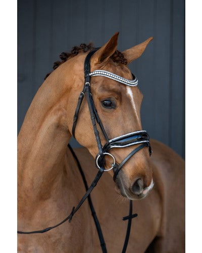 Showtime It is So Special