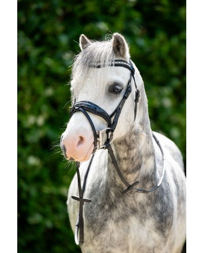 350A HB Showtime Stockholm Special Ein Pony