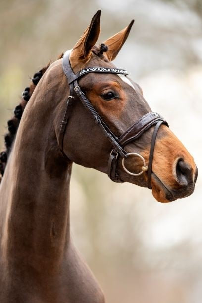 357 HB Showtime Große Flucht