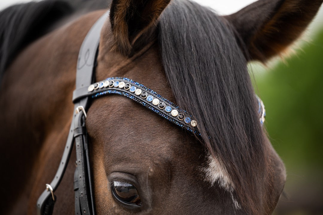 369 HB Showtime Las Vegas