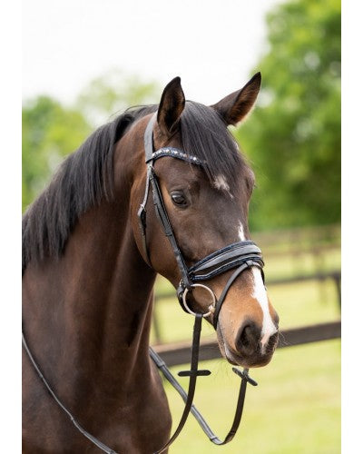 369 HB Showtime Las Vegas