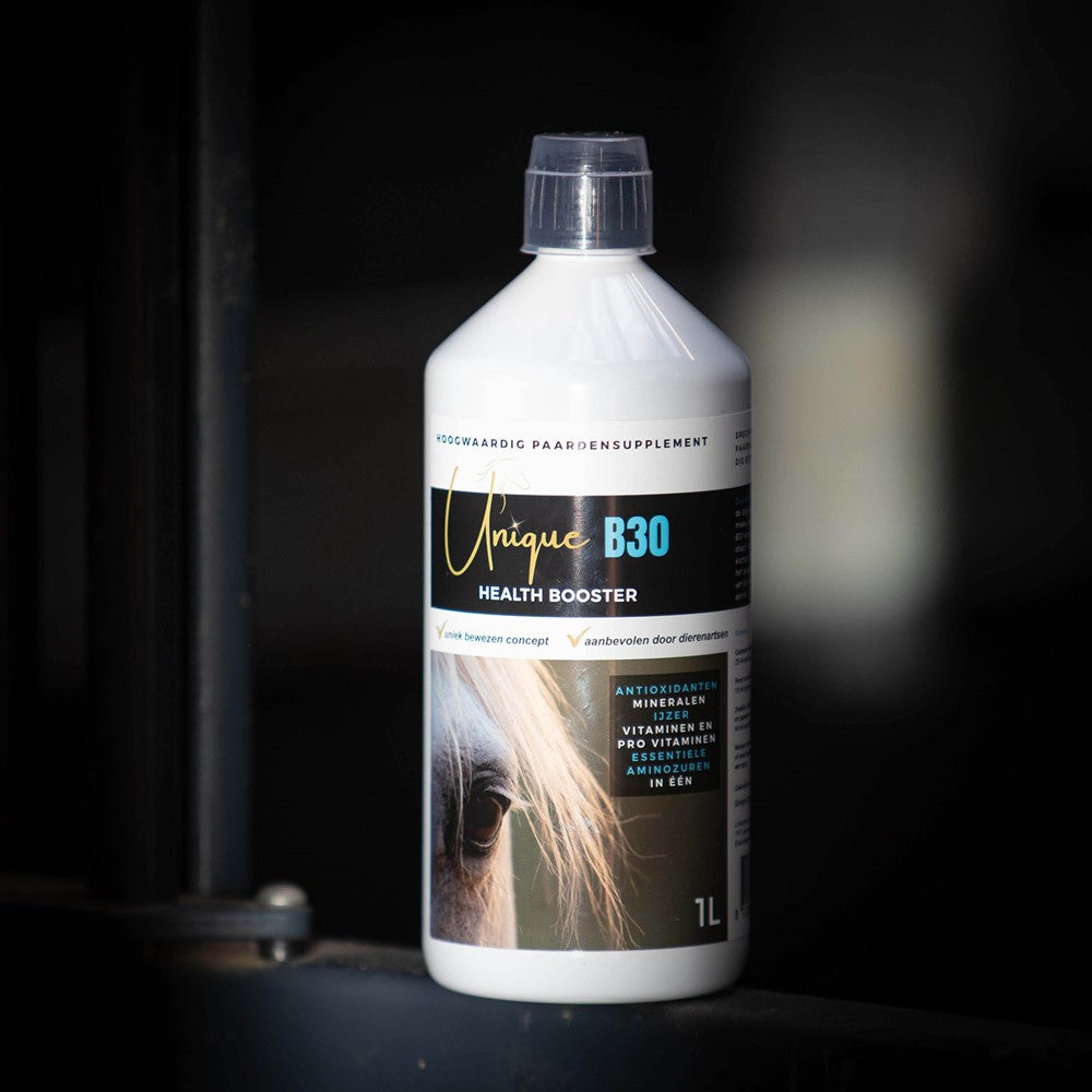 Einzigartiges B30-Gesundheits-Booster-Ergänzungsmittel, 1 l