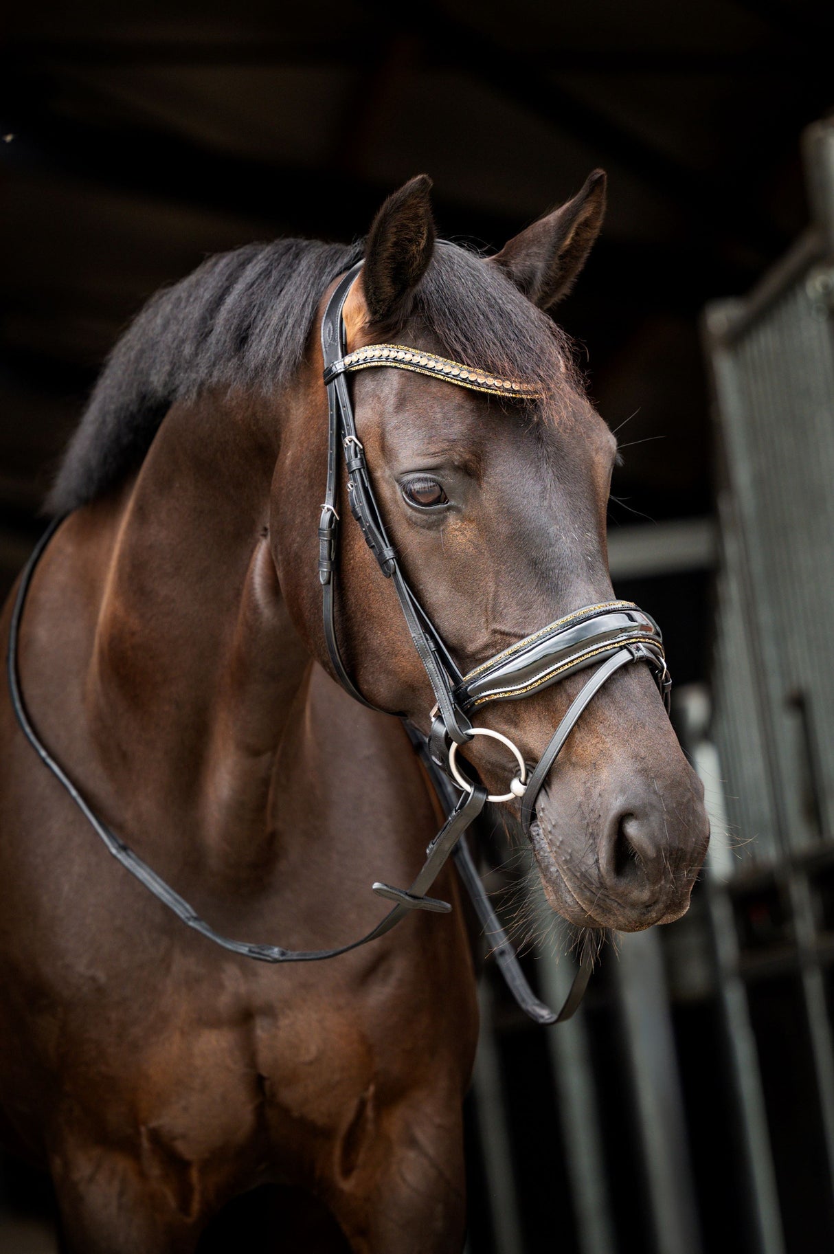 Trense Golden Dreams Schwarz/Gold Glitzer