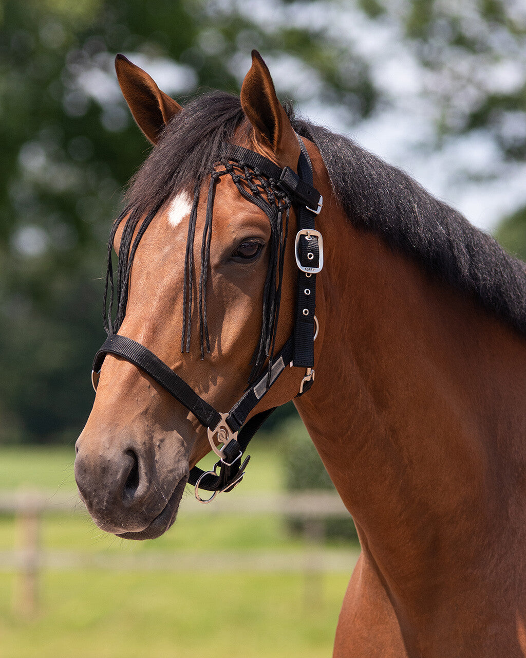 Fliegenstirnband geknotet