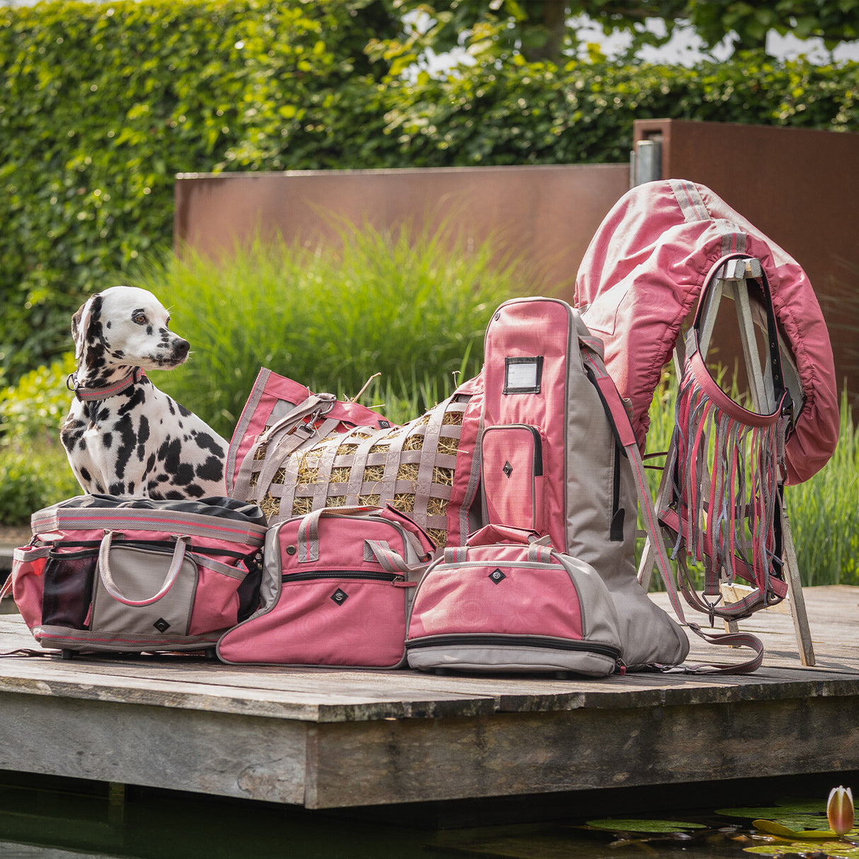 Fliegenstirnband Kollektion