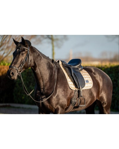 HB Showtime Lake View dressuur dek