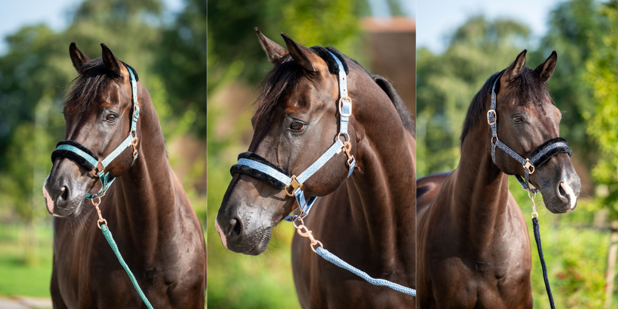 Showtime Pioneer Halfter-Set