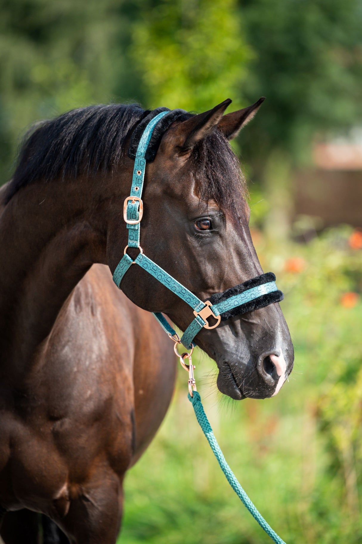 Showtime Pioneer Halfter-Set