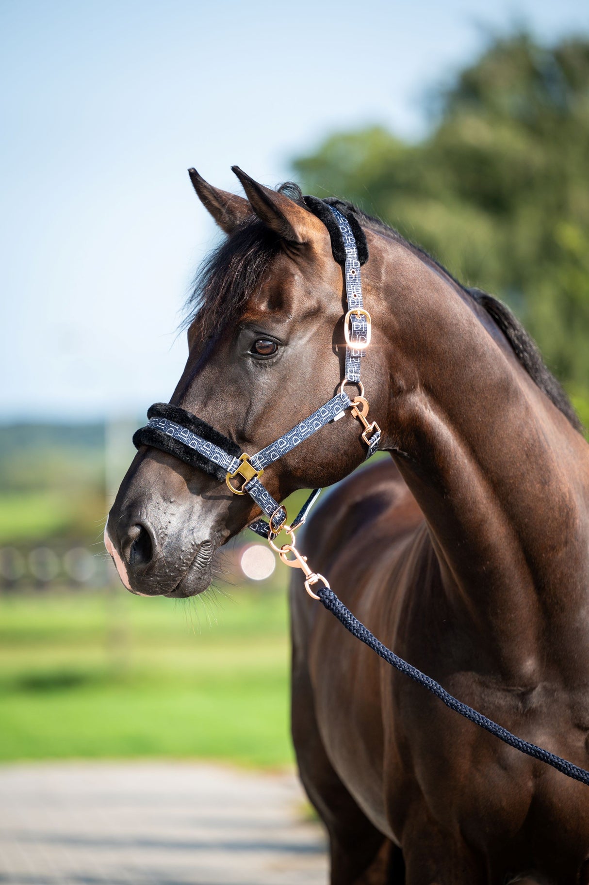 Showtime Pioneer Halfter-Set