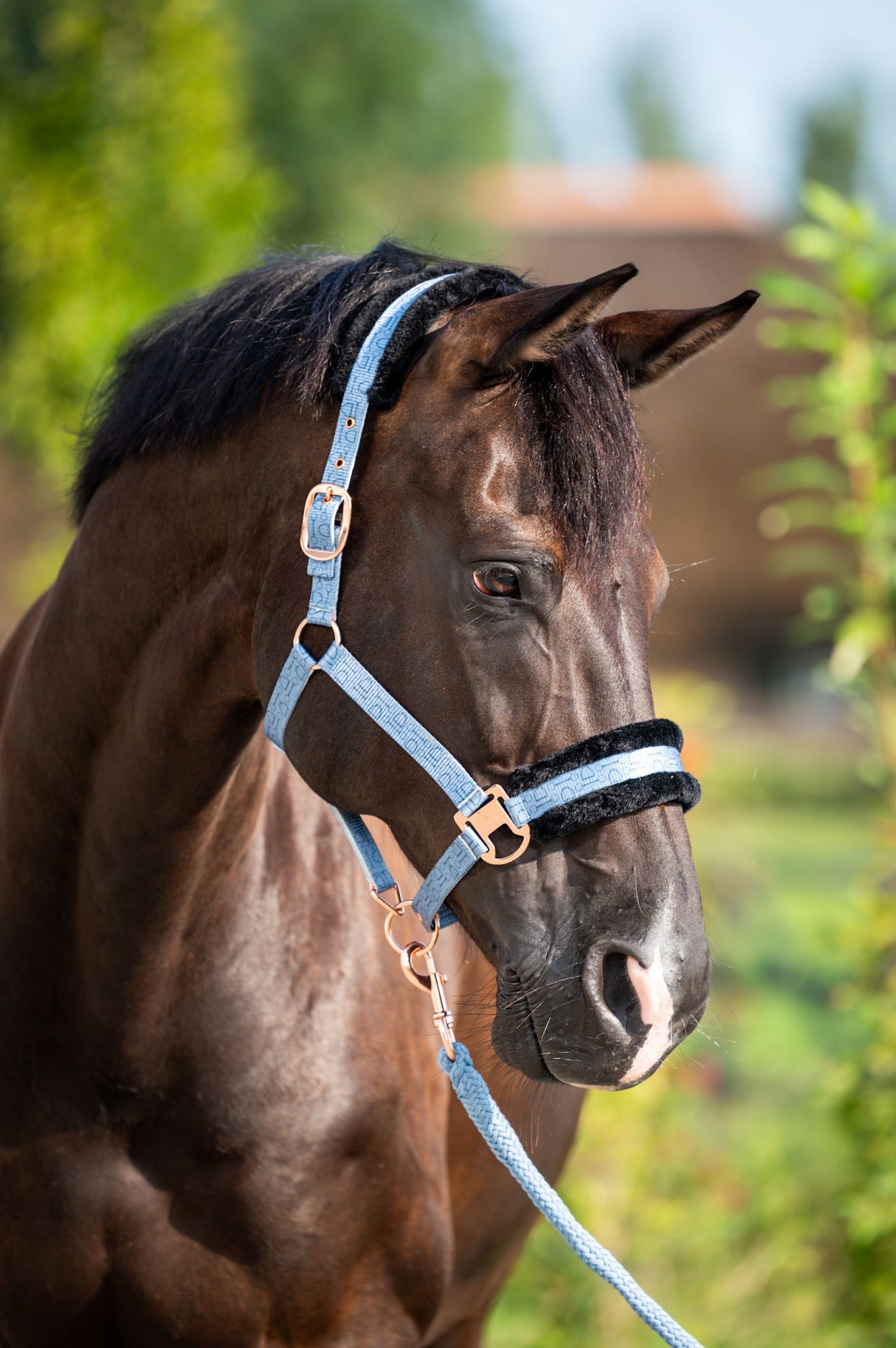 Showtime Pioneer Halfter-Set