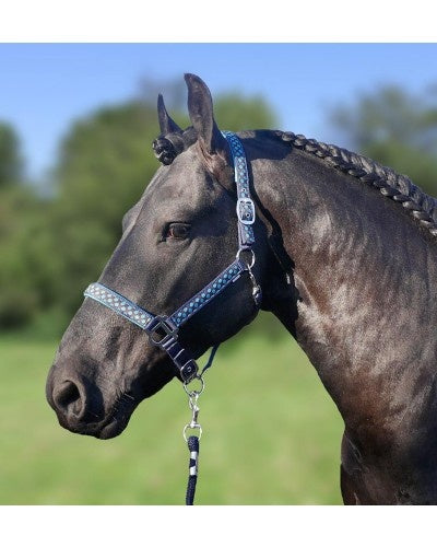 Halster set Polka Dot