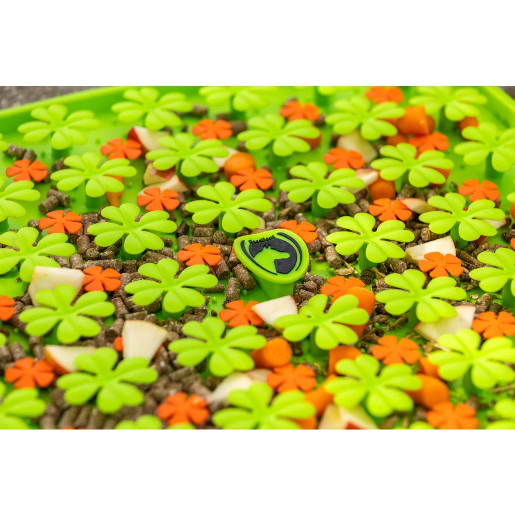 Schnüffelmatte mit Pferd