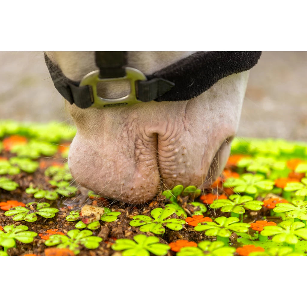 Schnüffelmatte mit Pferd