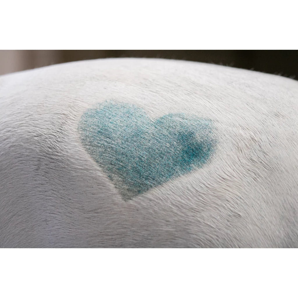 Hochglänzender Glitzerspray