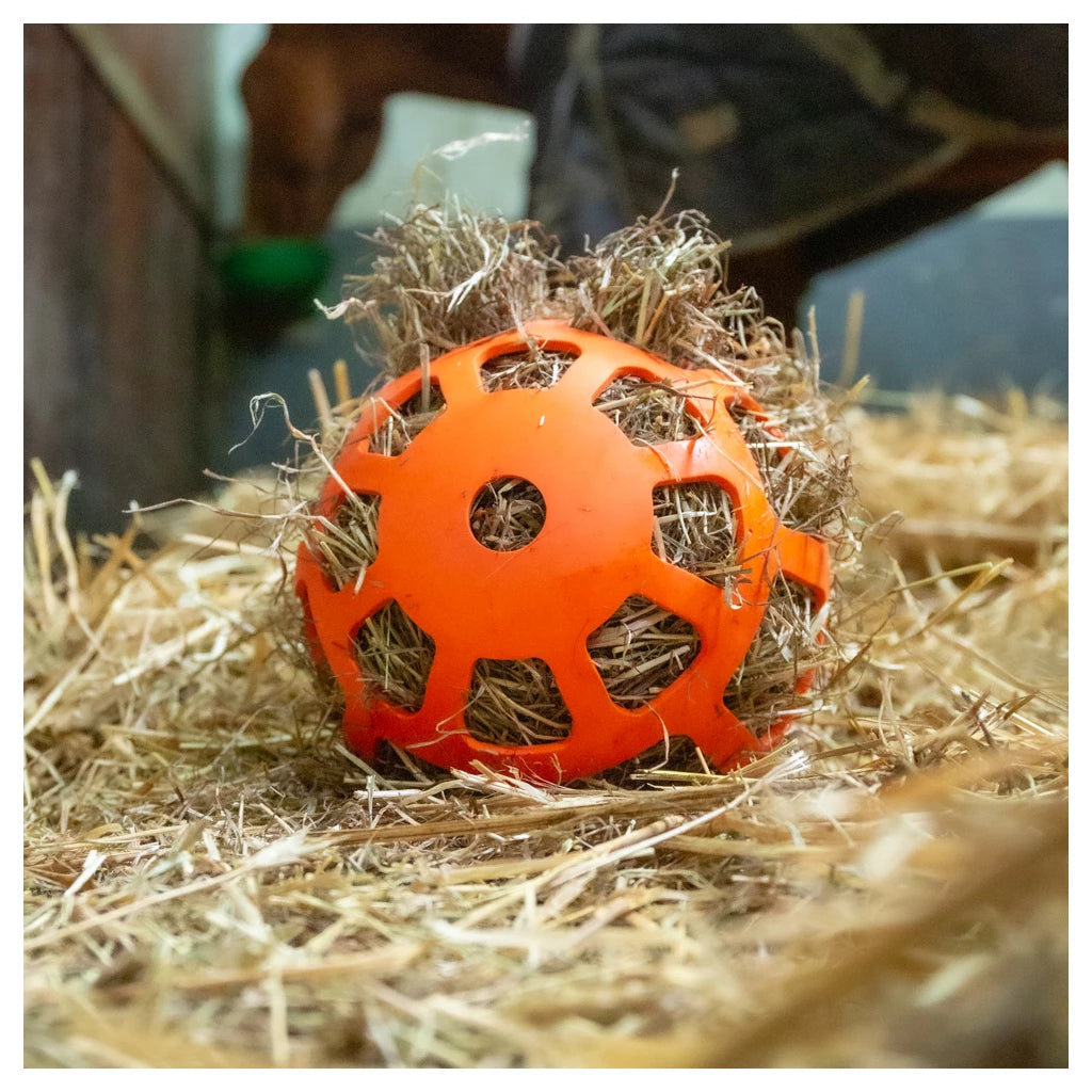 Heu-Slow-Feeder Fun & Flex