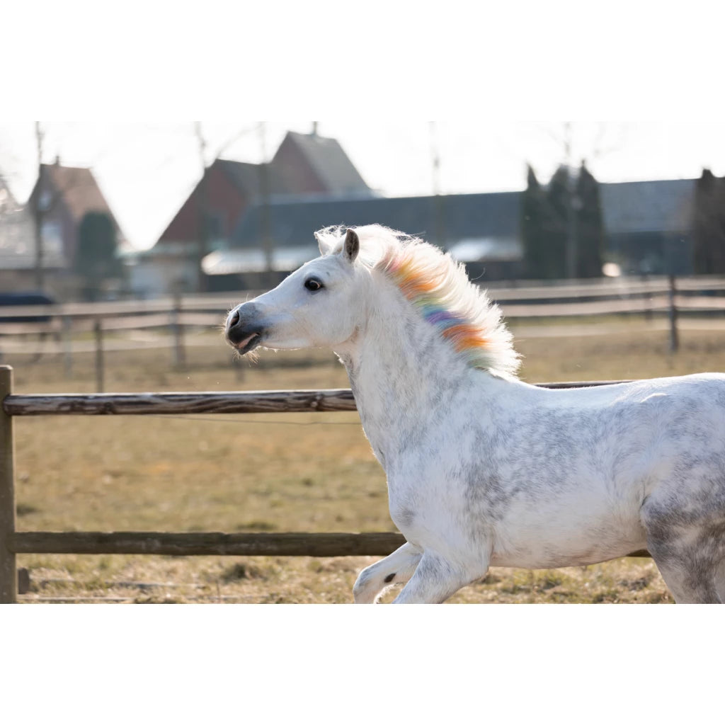 Lucky Horse Einhorn Regenbogen Buntstifte