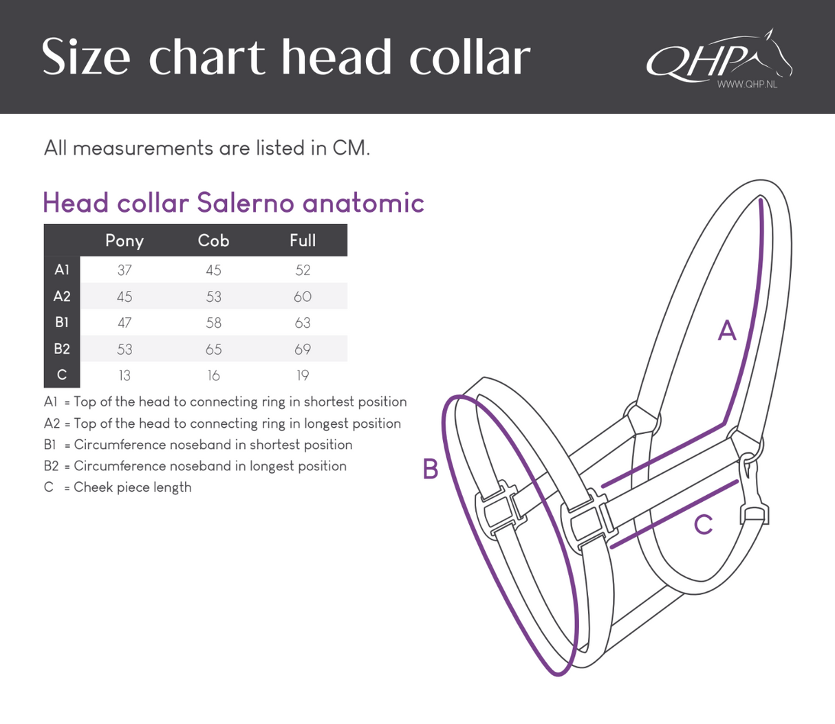 Halster Salerno anatomisch