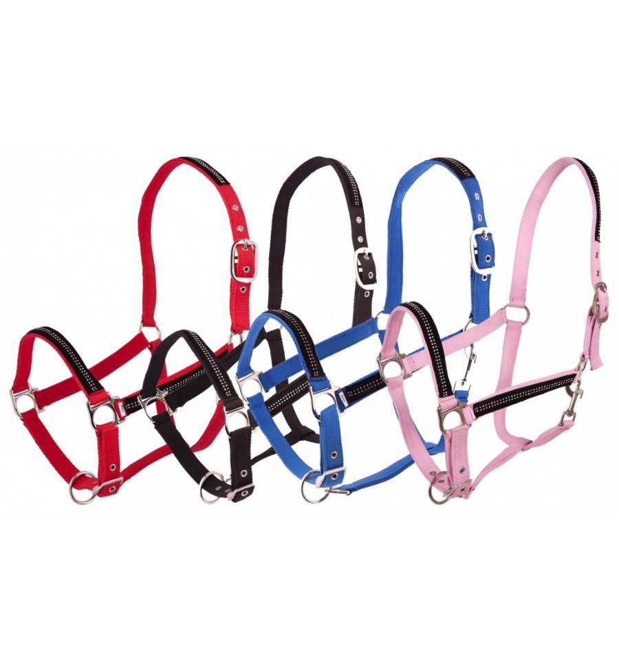 Halster Stone SPECIAL EDITION